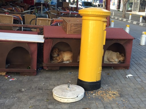 Dog hotel - also note the legacy British post-box